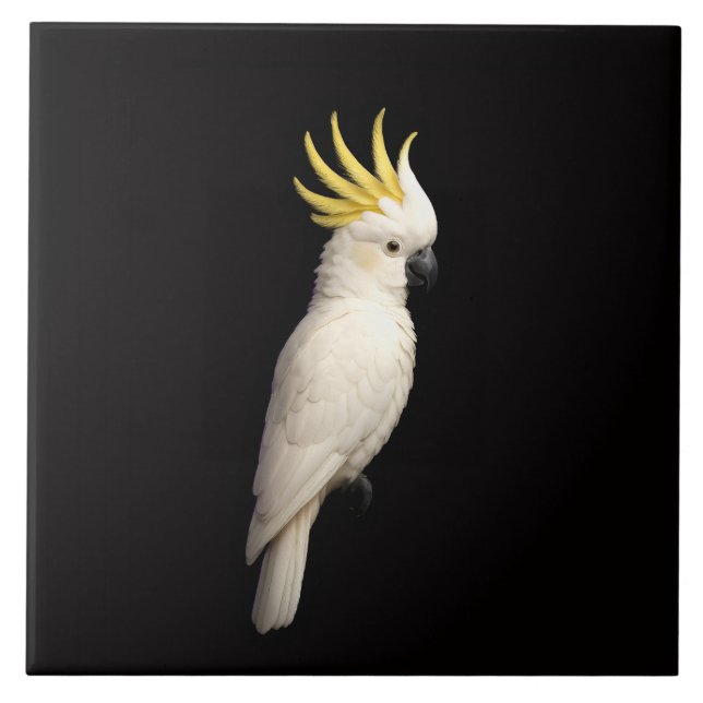 Carreau Black 4 Luxe Tile with Sulphur Crested Cockatoo (Devant)