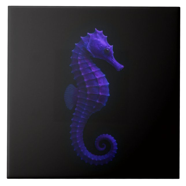 Carreau Black 4 Luxe Tile with Violet Blue Seahorse (Devant)
