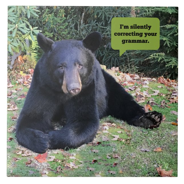 Carreau Black Bear - Je corrige en silence votre grammaire (Devant)