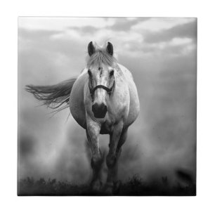 Carreau Black White Runse Horse Freedom