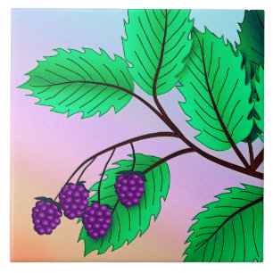 Carreau Blackberries sur une branche
