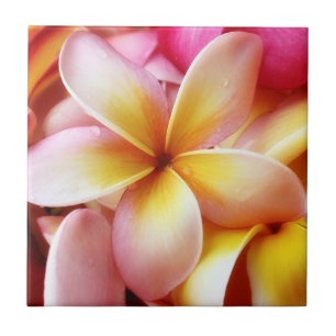Carreau Blanc customisé par fleur d'Hawaï de Frangipani de