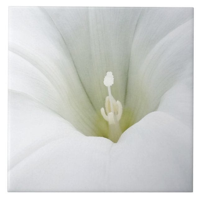 Carreau blanc et gris (Devant)