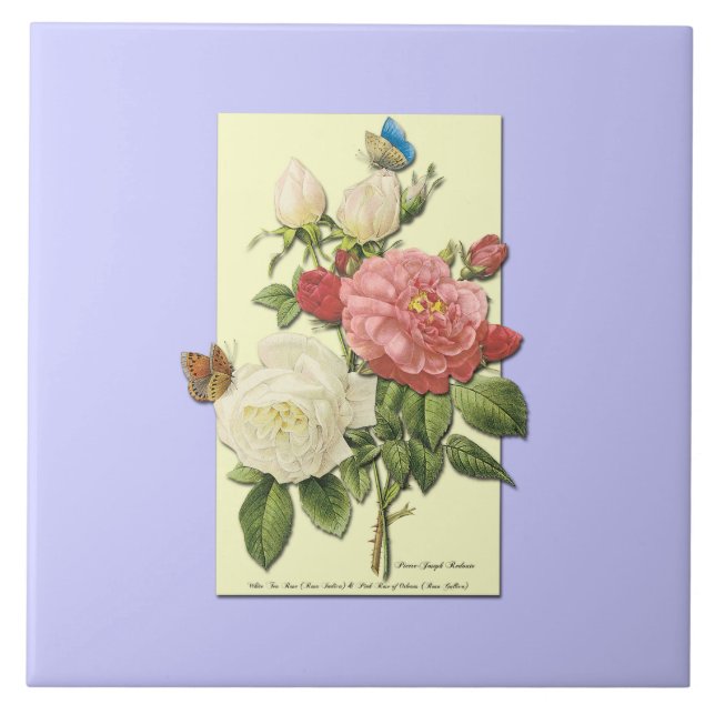 Carreau Blanc rose Vintage Roses botaniques (Devant)