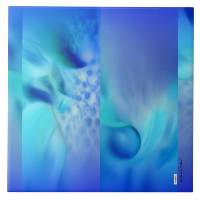 Carreau Bleu (Devant)