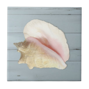 Carreau Bleu Beach Conch Coastal Coastal Shell Wood