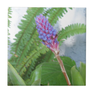 Carreau Bleu cône fleur bromélique