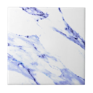 Carreau Bleu et Marbre blanc