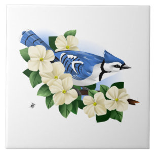 Carreau Bleu Jay Bird