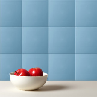 Carreau Bleu pâle et mat
