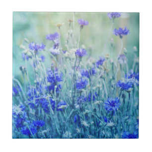 Carreau Bleuets