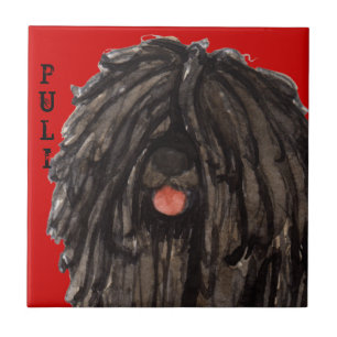 Carreau Bloc de couleur de Puli