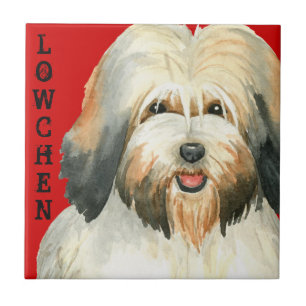 Carreau Bloc de couleurs Lowchen