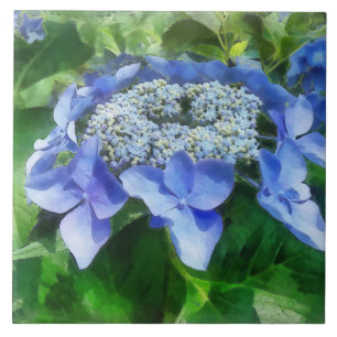Carreau Blue Lace Casquette Hydrangea Let's Dance Starligh