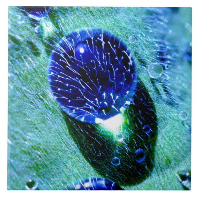 Carreau Blue Raindrops Water Pearls Photo -Quadrat Ceramic (Devant)
