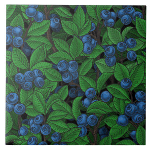 Carreau Blueberry