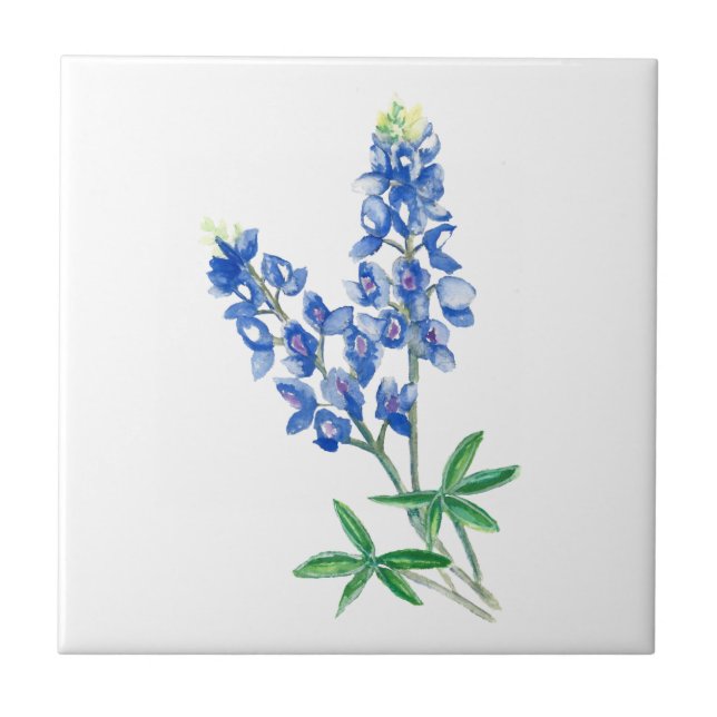 Carreau Bluebonnet 3 (Devant)