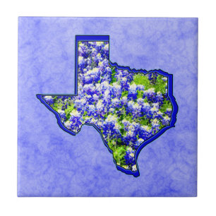 CARREAU BLUEBONNETS DE TEXAS
