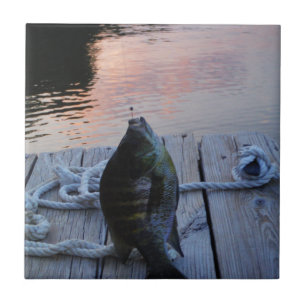 Carreau Bluegill au coucher du soleil Lac Arrowhead