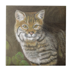 Carreau Bobcat