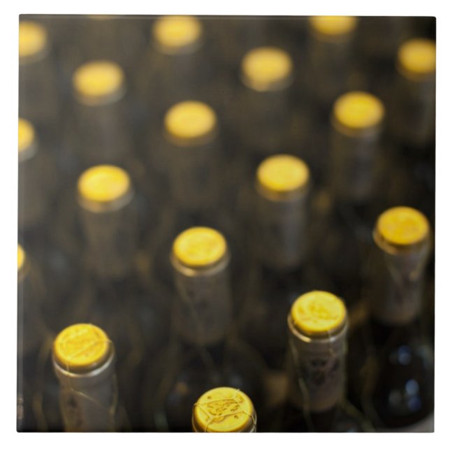 Carreau Bodega Marques de Riscal, bouteilles de vin (Devant)