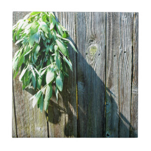 Carreau Bois de Grange frais coupé