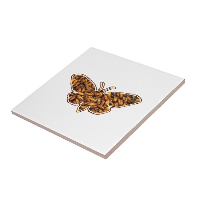 Carreau Bombyx Mori Silk Moth Cycle de vie Silhouette (Côté)
