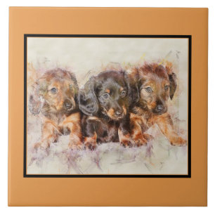Carreau BONNES PUPIES DACHSHUND Aimer animal, GARDE DE CHI