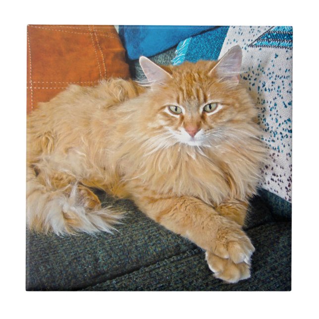 Carreau Boppy (Devant)