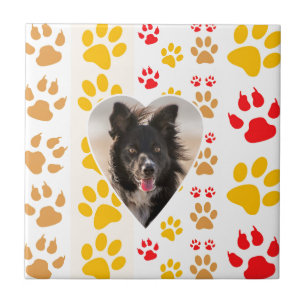 Carreau Bordure Collie Empreinte de patte Amour Coeur