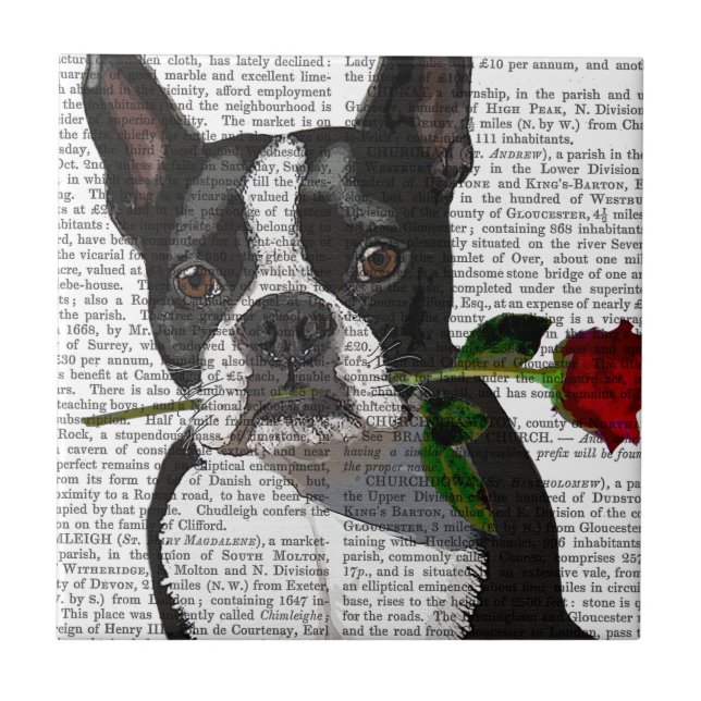 Carreau Boston Terrier avec Rose dans la bouche (Devant)