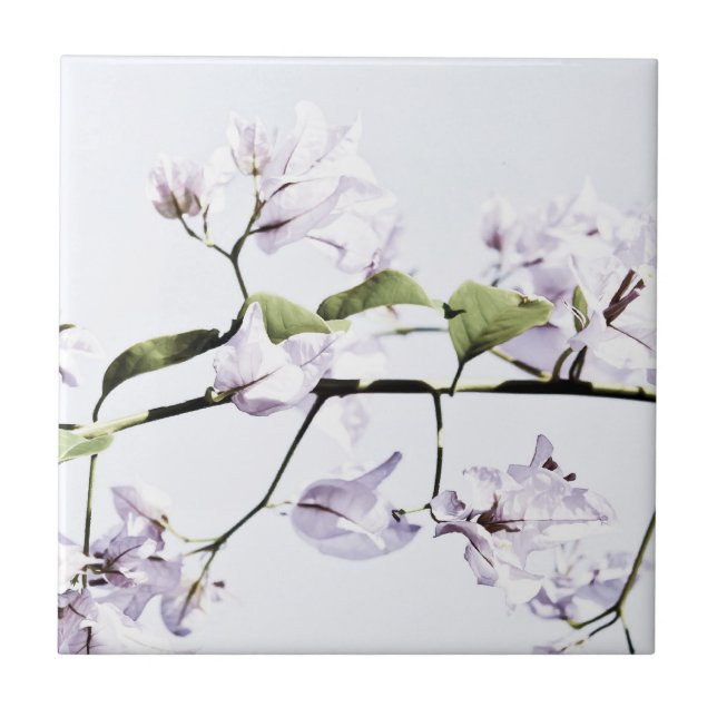Carreau Bougainvillée (Devant)