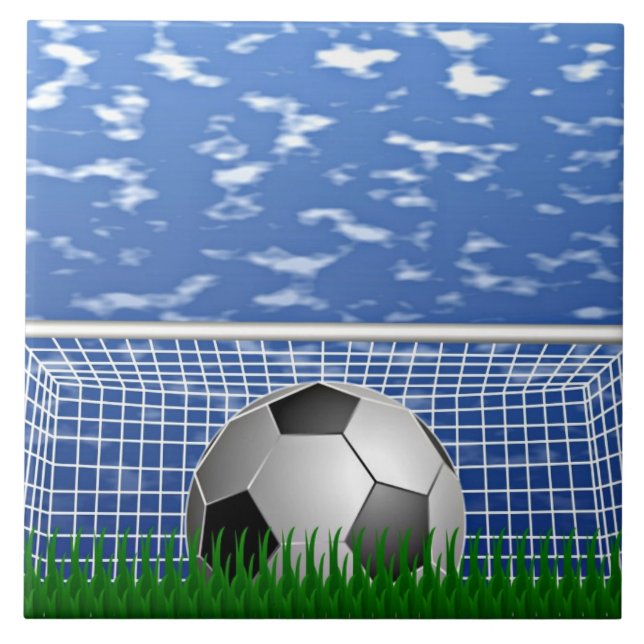 Carreau Boule de football dans le net (Devant)