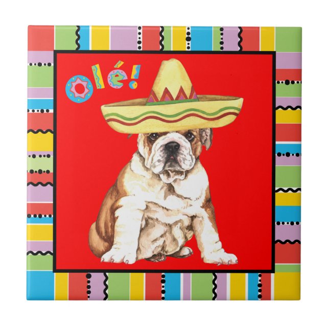 Carreau Bouledogue de fiesta (Devant)