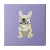 Bouledogue français crème