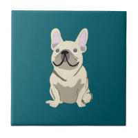Bouledogue français crème, j'aime mon chien