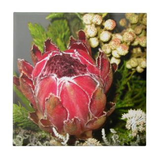 Carreau Bouquet de Protea