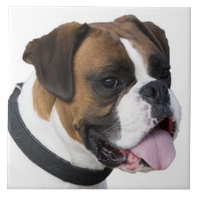 Carreau BOXER CHIEN, Amour des animaux, meilleur ami KEEPS (Devant)