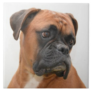 Carreau BOXER DOG 3, Pet Love, meilleur ami KEEPSAKE