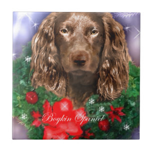 Carreau Boykin Spaniel Noël
