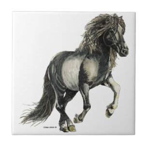 Carreau Brana le cheval islandais au galop
