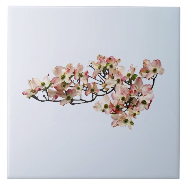 Carreau Branche de Dogwood rose (Devant)