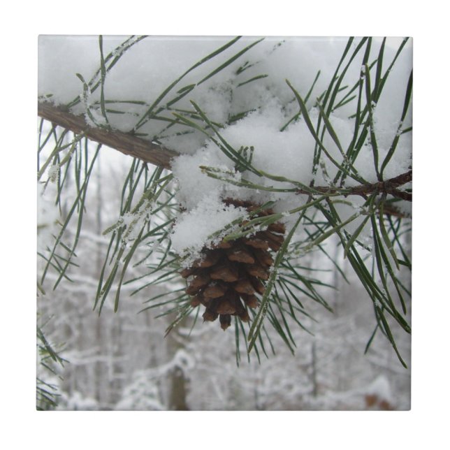 Carreau Branche des pins neigeux Photographie de la nature (Devant)