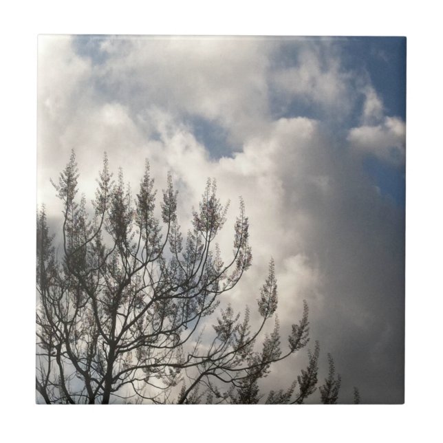 Carreau Branches dans les nuages (Devant)