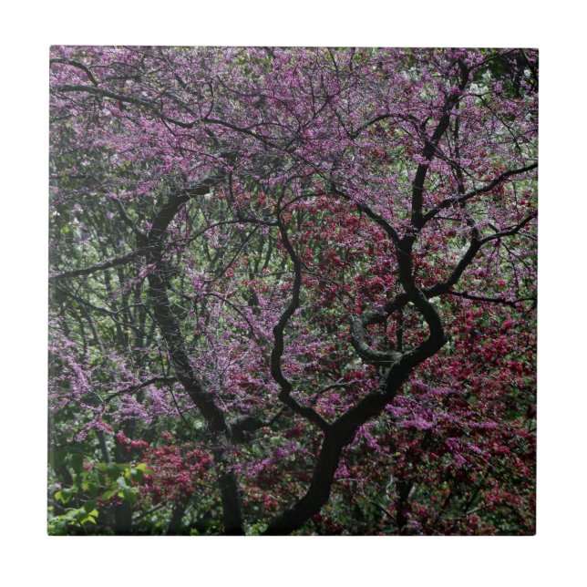Carreau Branches et fleurs (Devant)