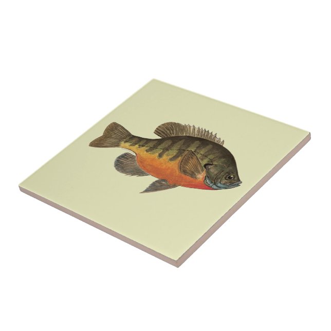 Carreau Brise de Bluegill (Côté)