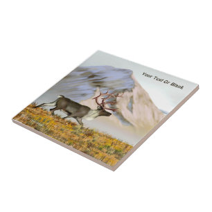 Carreau Brooks Range Caribou