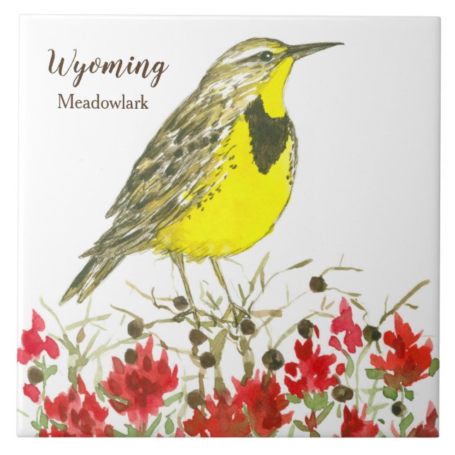Carreau Brosse à peinture indienne Meadowlark Wyoming Souv (Devant)