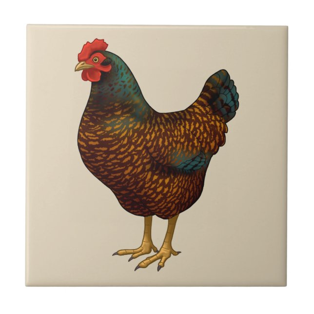 Carreau Brown Barnevelder Hen Chicken (Devant)