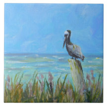 Brown Pélican Postal Coastal Art